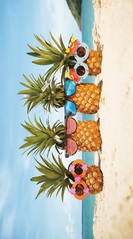 Ręcznik Plażowy 100x180 Cotton World Ręcznik Plażowy 100x180 Cotton World