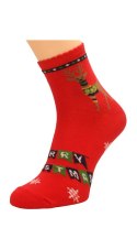 Skarpety Bratex 2988 X-Mass Socks damskie 36-41 Bratex